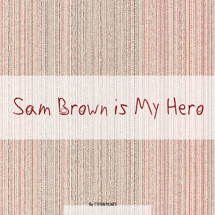 Sam Brown is My Hero example